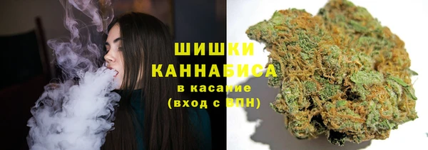 гашик Каменка