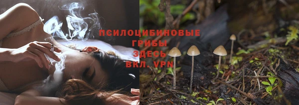 гашик Каменка