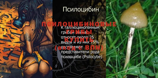 Альфа ПВП Каменногорск