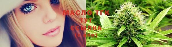 гашик Каменка
