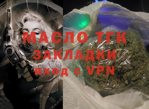 гашик Каменка