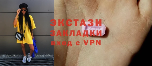 гашик Каменка