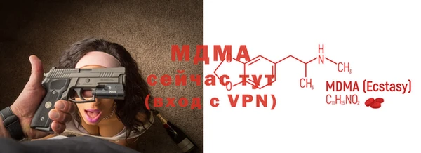 гашик Каменка