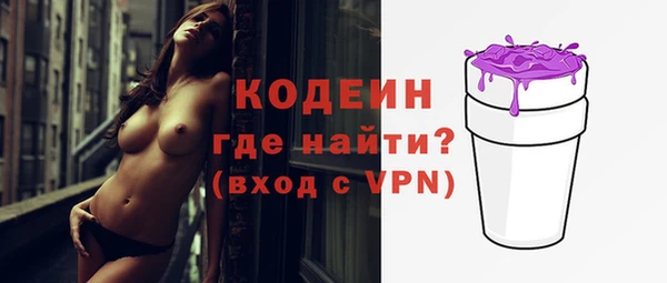 гашик Каменка