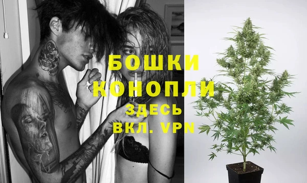 гашик Каменка