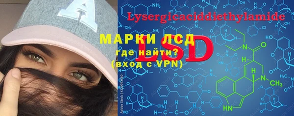 гашик Каменка