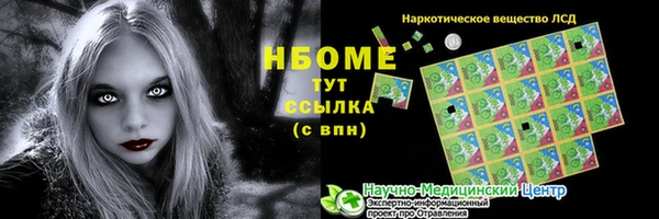 гашик Каменка