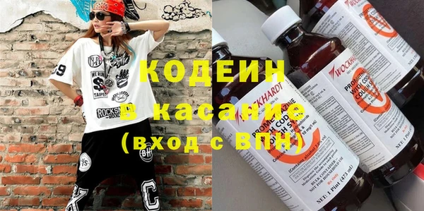 гашик Каменка